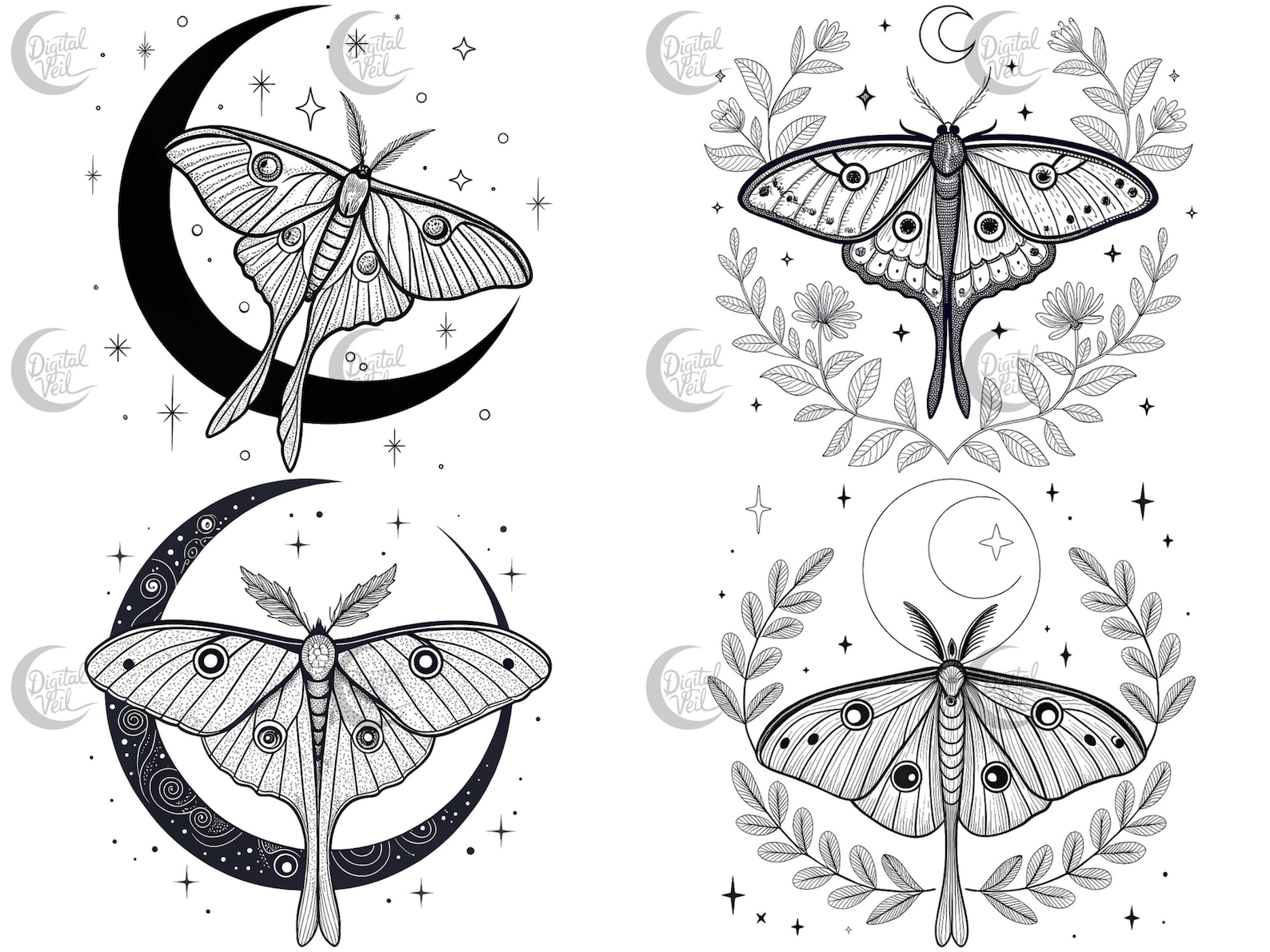 Luna Moth Line Art Clipart: Celestial PNG Images (digital Download) - Etsy