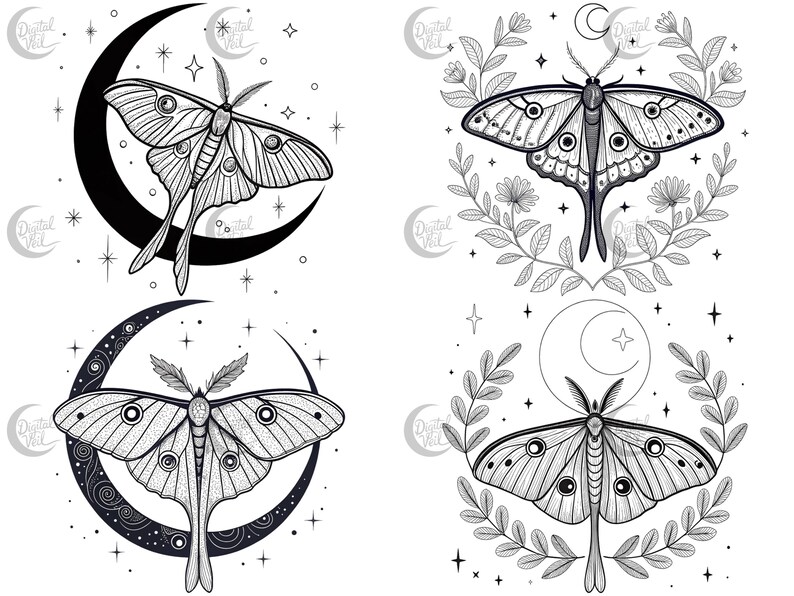 May include: Four black and white illustrations of moths with crescent moons and stars. The moths have intricate wing patterns and are surrounded by floral elements.