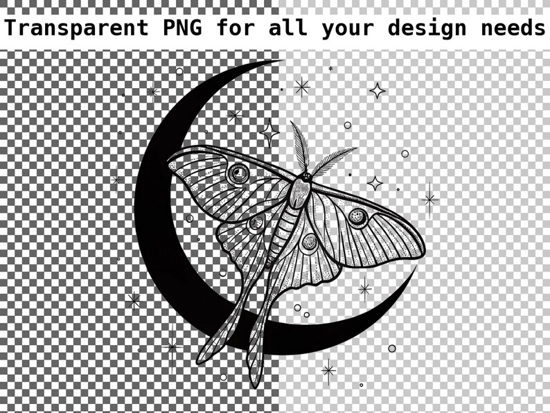 May include: A black and white line drawing of a moth with large, detailed wings perched on a crescent moon. The moon is surrounded by small stars.