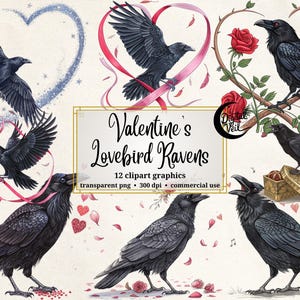 Clipart de cuervo de San Valentín, PNG de agapornis góticos, gráficos de romance oscuro, 12 imágenes transparentes, uso comercial