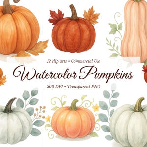 Watercolor Pumpkin Clipart Bundle: Fall Harvest PNGs (Commercial Use, Digital Download