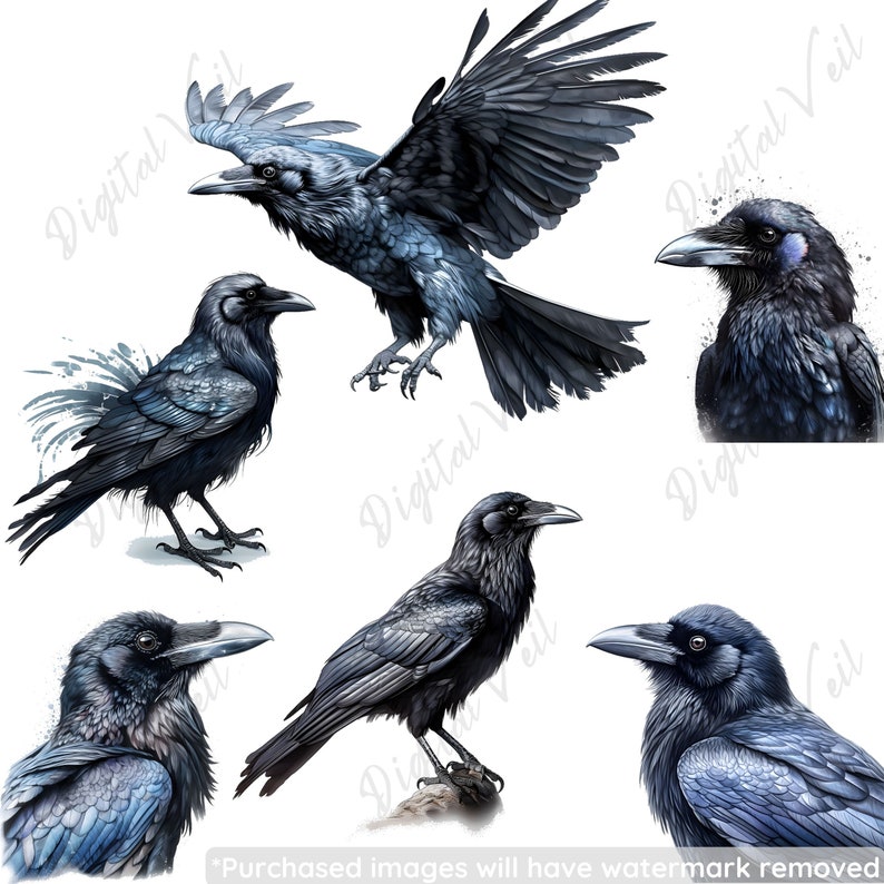 Peut inclure: Six corbeaux noirs dans diff&eacute;rentes poses, y compris en vol, perch&eacute;s et regardant sur le c&ocirc;t&eacute;. Les corbeaux sont repr&eacute;sent&eacute;s dans un style r&eacute;aliste avec des plumes d&eacute;taill&eacute;es et une couleur gris-bleu fonc&eacute;.