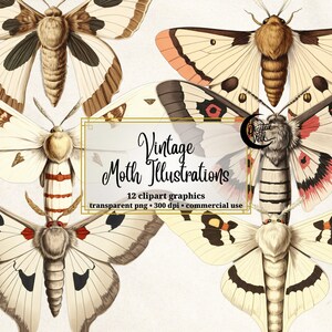 Papillon de nuit vintage Clipart Illustration botanique entomologie Art histoire naturelle PNG Transparent papillon Journal scientifique de la nature insecte