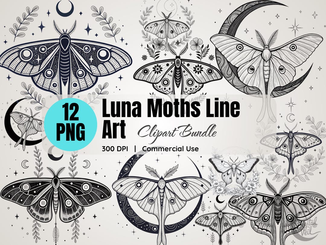 Luna Moth Line Art Clipart: Celestial PNG Images (digital Download) - Etsy