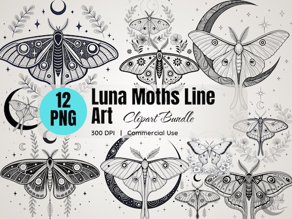Luna Moth Line Art Clipart: Celestial PNG Images (Digital Download)
