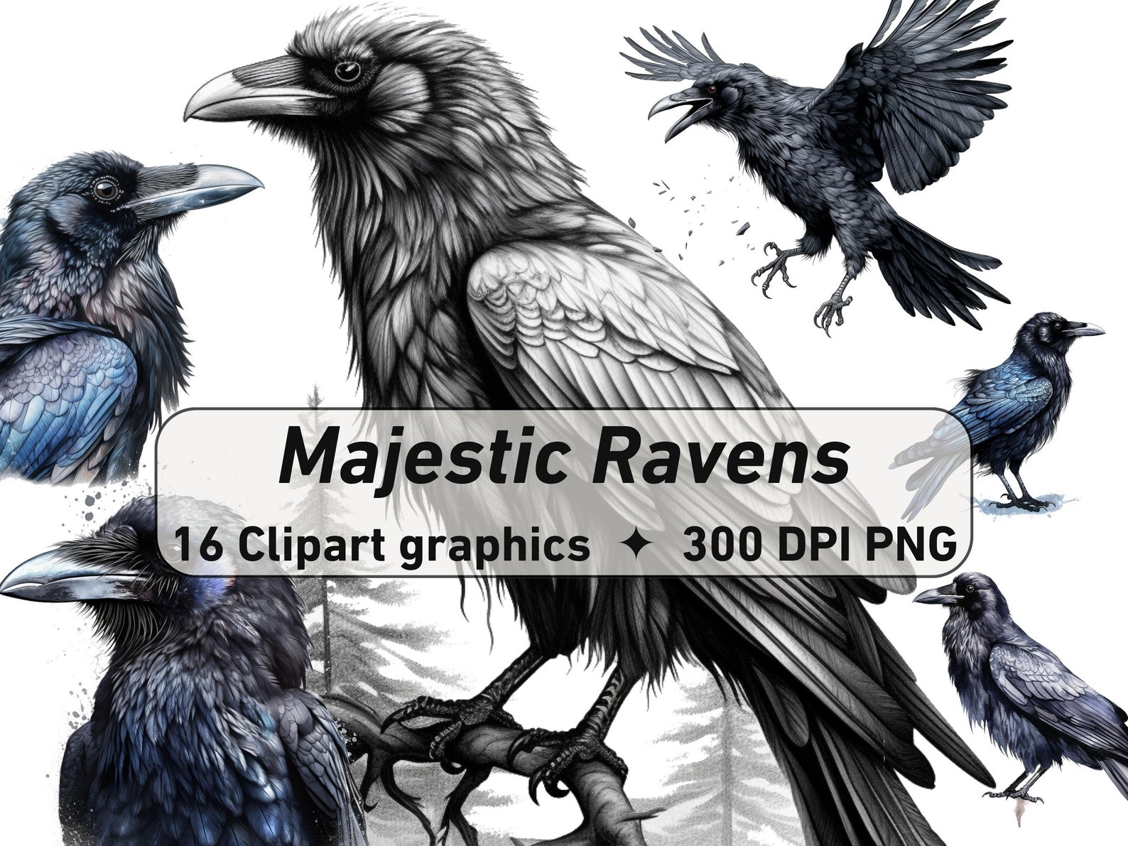 Majestic Ravens Clipart High-quality Digital & Print 16 - Etsy