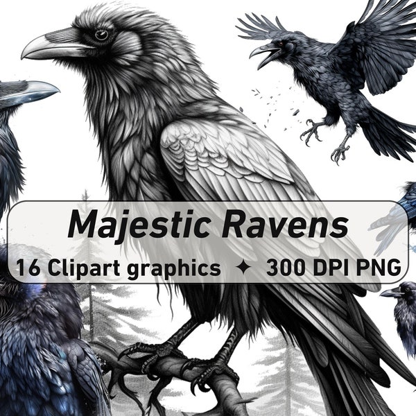 Majestic Ravens Clipart, High-Quality Digital & Print 16 Cliparts at 300 DPI - Perfect for Art Projects, Scrapbooks, and More