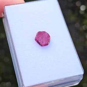 Op de afbeelding: Een kleine, ruw geslepen, roze edelsteen ligt in een doorzichtige plastic doos met een wit interieur. De edelsteen heeft een diep magenta kleur met een enigszins ongelijkmatig oppervlak.