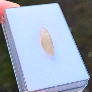 Puede incluir: Una gema alargada de color amarillo pálido descansa dentro de una caja de plástico transparente. La gema tiene una punta afilada y una textura ligeramente rugosa. La caja rectangular tiene una tapa transparente.