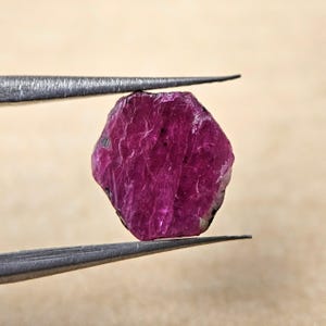 Op de afbeelding: Een ruwe, diep magenta robijn edelsteen wordt vastgehouden door een pincet. De robijn heeft een natuurlijke, onregelmatige vorm met een enigszins doorschijnend uiterlijk. De edelsteen heeft een levendige, rood-paarse kleur.