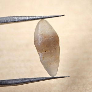 Puede incluir: Una gema translúcida de color claro es sostenida por unas pinzas plateadas. La piedra tiene una forma redondeada e irregular con sutiles variaciones de color, que van del blanco roto al marrón pálido. El fondo es de un tono suave y neutro.