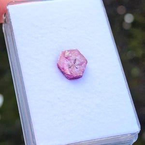 Op de afbeelding: Een zeshoekige, roze edelsteen ligt op een wit oppervlak in een doorzichtig plastic doosje. De edelsteen heeft een ruw, getextureerd oppervlak en een dieproze kleur. De doos wordt vastgehouden door een hand, met een vage groene achtergrond.