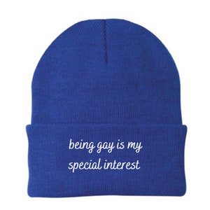 Being Gay is my Special Interest Embroidered Pride Wool Beanie