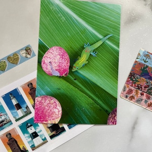 Goldstaub-Tagesgecko, gemalte Kirche, Hawaii, USA-Standort-Fotografie-Postkarte