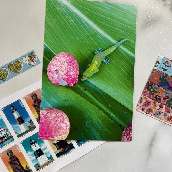 Gold Dust Day Gecko, Painted Church, Hawaii, USA Location Photography Postcard