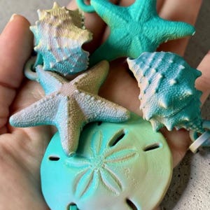 Bag Buddies - Sea Creatures / Sand Dollar / Starfish/ Conch Shell Backpack Charm / Zipper Pull