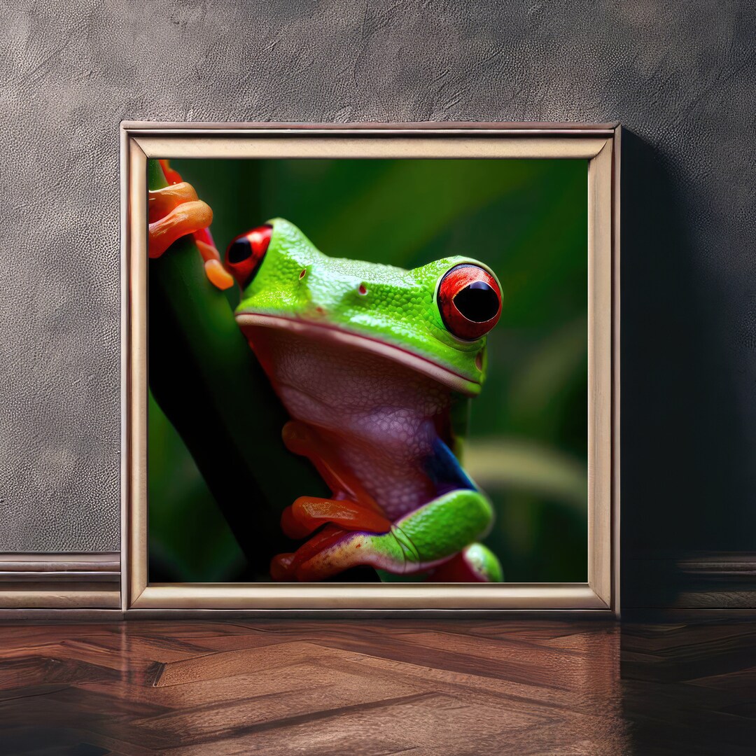 Red Eyed Tree Frog on a Branch in the Rain Forest Digital Print Wall ...
