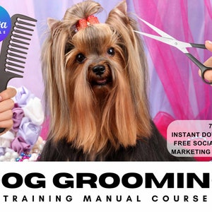 Könnte beinhalten: Ein Yorkshire Terrier, der mit einem Kamm und einer Schere gestriegelt wird. Das Bild enthält den Text "70 SEITEN SOFORTIGER DOWNLOAD KOSTENLOSER SOCIAL-MEDIA-MARKETING-HANDBUCH HUNDEPFLEGE-TRAININGSHANDBUCH-KURS".