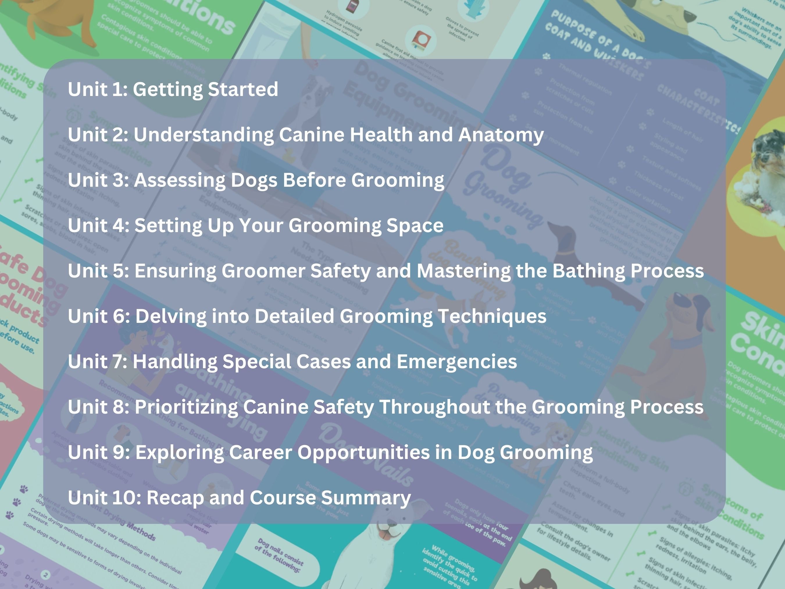 Dog Grooming Training Manual, Comprehensive Guide (digital Download) - Etsy