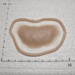 Puede incluir: Un aparato de prótesis de heridas con un centro marrón claro y un borde marrón más oscuro. El aparato tiene una superficie texturizada y está diseñado para simular una lesión cutánea. El artículo está sobre una superficie blanca con una regla.