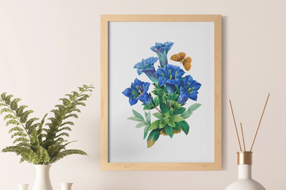 Botanical Print Blue Flowers Art Print Vintage Wall Art Etsy