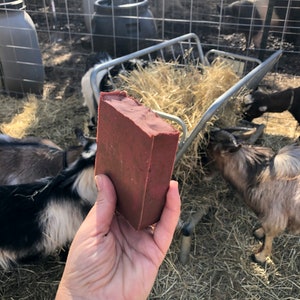 Cranberry Pomegranate Bar Side View