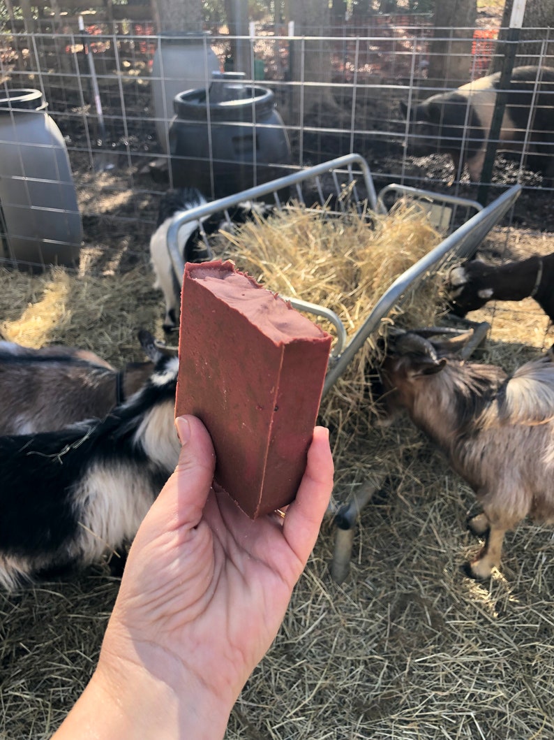 Cranberry Pomegranate Bar Side View