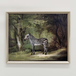 Zebra Rare Print by George Stubbs, Zebra Wall Art, Vintage Animal Print, Vintage Jungle Zebra Print, Safari Animal Wall Art, Jungle Print