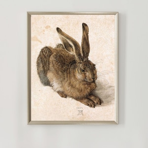 Albrecht Durer - Young Hare (1502) - Classic Painting Photo Poster Print Art Gift Rabbit Animal Vintage Albert Albrecht Durer Museum Gallery