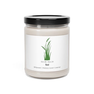 Birth Month Tree/Plant Scented Soy Candle 9oz, Oct 28-Nov 24, Reed, Horoscope, Birth Plant,Birth Tree, Celtic Tree Astrology, Birthday Gift