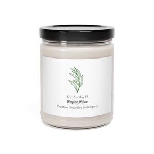 Birth Month Tree/Plant Scented Soy Candle 9oz, Apr15-May12, Willow, Horoscope, Birth Plant,Birth Tree, Celtic Tree Astrology, Birthday Gift