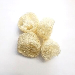 May include: Four beige loofah sponges are arranged on a white background. The sponges have a fibrous, porous texture and a natural, organic appearance. They are likely used for exfoliating or cleaning.