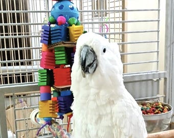 Large Bird Toy with Wooden Blocks & Birdie Bagels - Parrot Chew Toy
