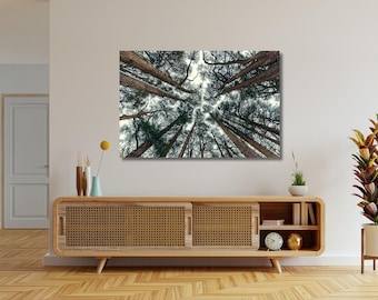Cedars Trees Canvas Print – Forest View Wall Art