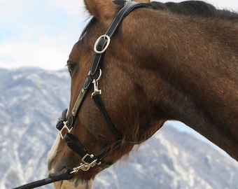 Zwart leren paardenhalster met gepersonaliseerde gegraveerde plaquette