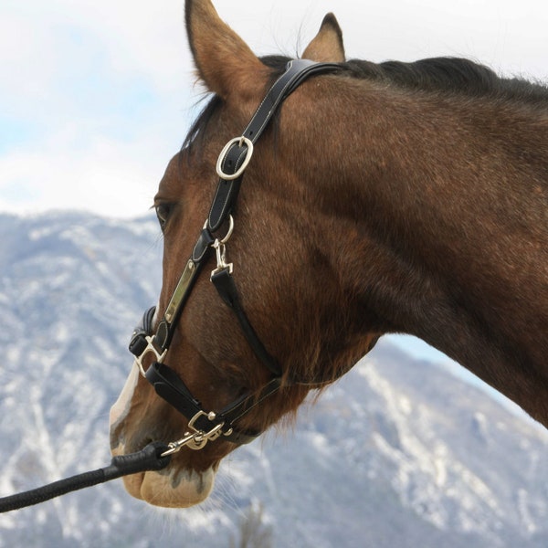 Cabezada de caballo de cuero negro con placa grabada personalizada