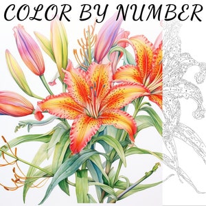 Color By Number, Paint By Number, Paint Number Adult, Coloring Numbered, Color By Number For Adults, Flower Coloring