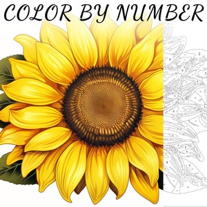 Color By Number, Paint By Number, Paint Number Adult, Coloring Numbered, Color By Number For Adults, Flower Coloring