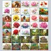 BUNDLE 230+ Color by Number, Paint by Number, Paint Number Adult ...