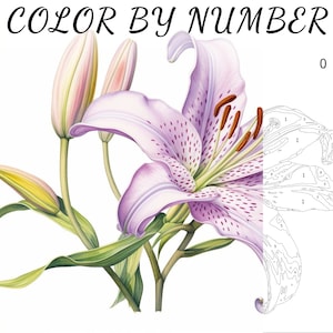 Color By Number, Paint By Number, Paint Number Adult, Coloring Numbered, Color By Number For Adults, Flower Coloring
