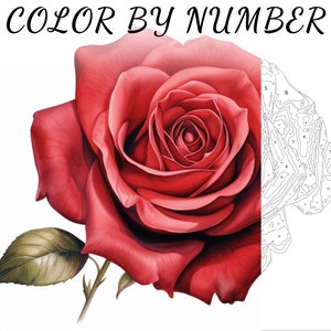 Color By Number, Paint By Number, Paint Number Adult, Coloring Numbered, Color By Number For Adults, Flower Coloring