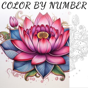 Color By Number, Paint By Number, Paint Number Adult, Coloring Numbered, Color By Number For Adults, Flower Coloring