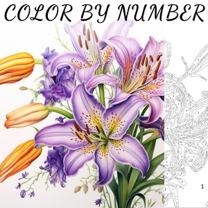Color By Number, Paint By Number, Paint Number Adult, Coloring Numbered, Color By Number For Adults, Flower Coloring