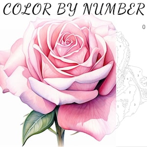 Color By Number, Paint By Number, Paint Number Adult, Coloring Numbered, Color By Number For Adults, Flower Coloring