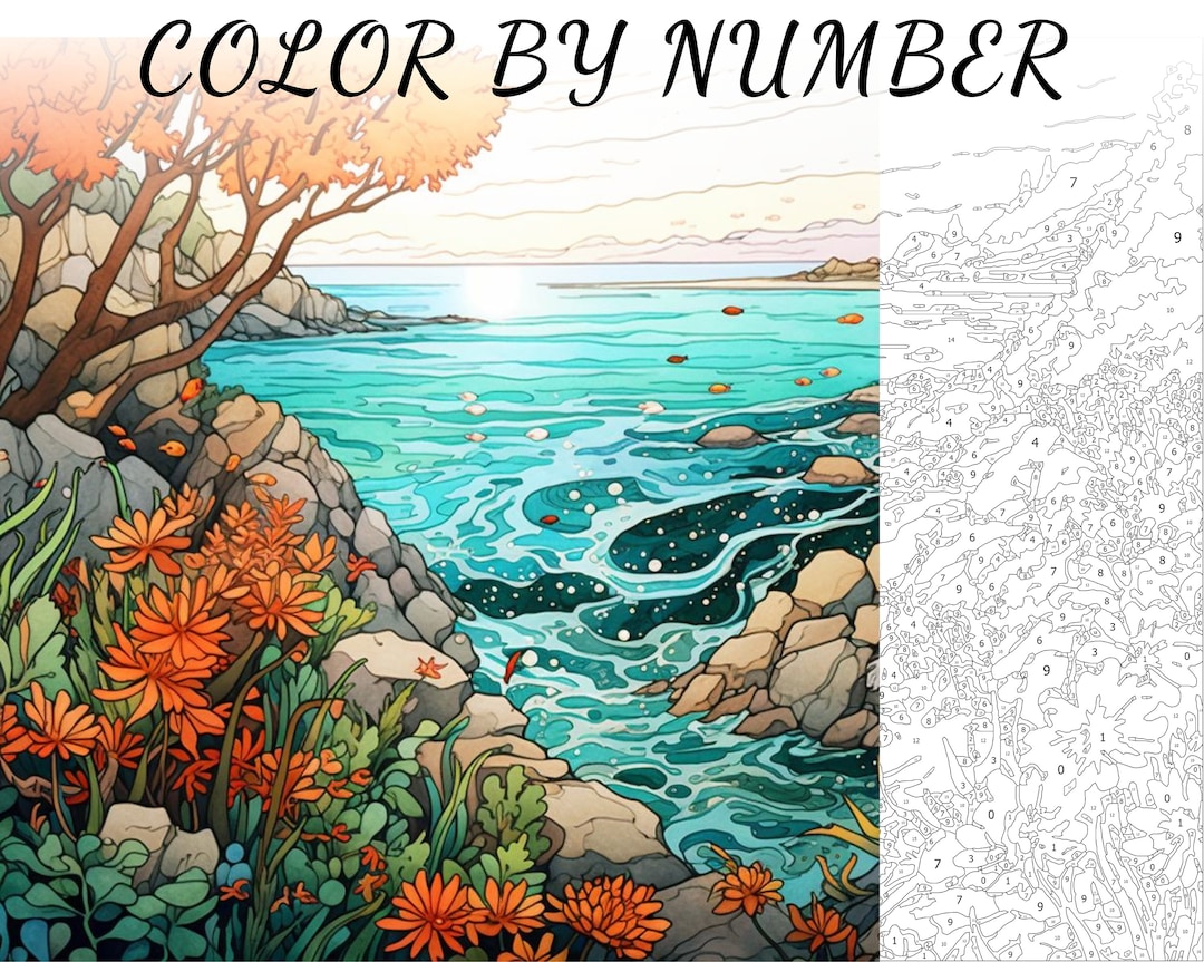 Color by Number Paint by Number Paint Number Adult Coloring Etsy