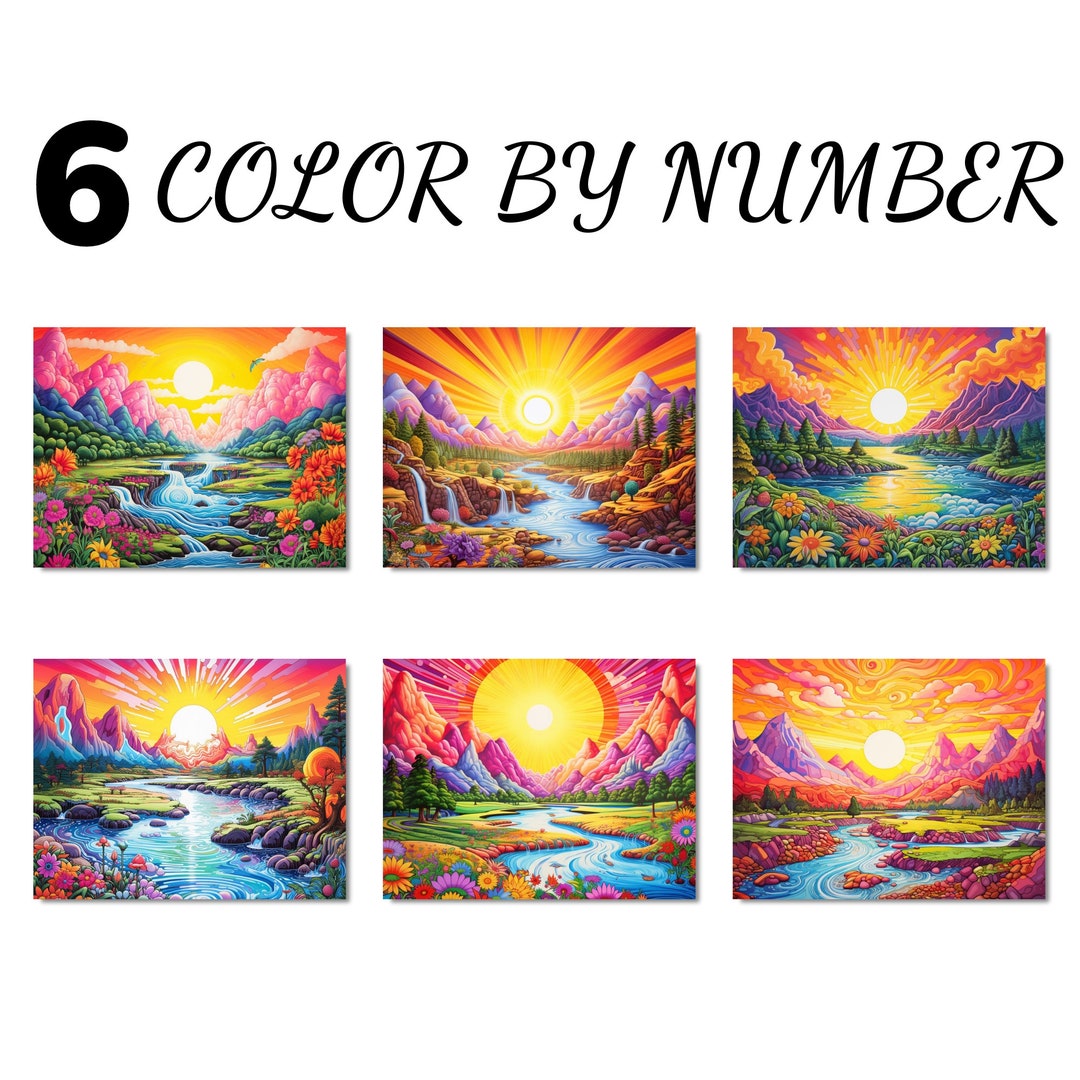 Color by Number Paint by Number Paint Number Adult Coloring Etsy