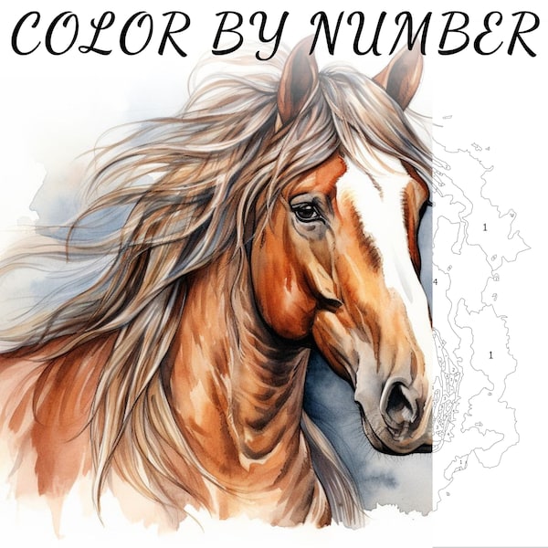 Color By Number, Paint By Number, Paint Number Adult, Coloring Numbered, Color By Number For Adults, Horse Coloring