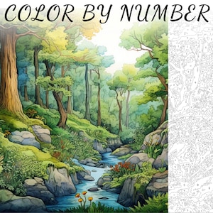 Color By Number, Paint By Number, Paint Number Adult, Coloring Numbered, Color By Number For Adults, Forest Coloring