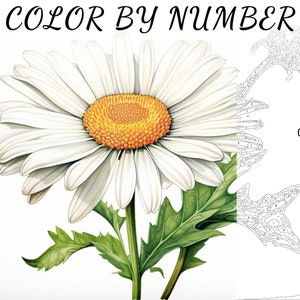 Color By Number, Paint By Number, Paint Number Adult, Coloring Numbered, Color By Number For Adults, Flower Coloring