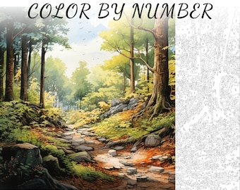 Color By Number, Paint By Number, Paint Number Adult, Coloring Numbered, Color By Number For Adults, Forest Coloring